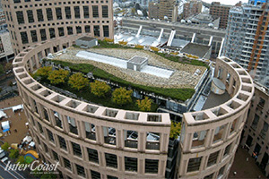 Many of you don’t realize but the rooftop of the Vancouver Public Library is protected by an incredible gorgeous garden!