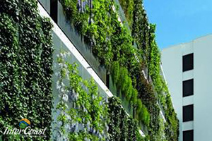 DecorCable Green Wall Systems Division 7, 8, 9 Garden Walls | InterCoast Building Solutions BC AB