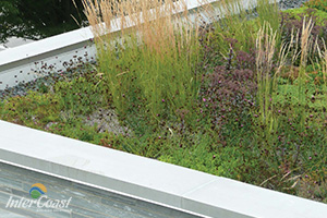 Curv-Rite® Landscape Edging & Brick Paver Edging for Green Roofs