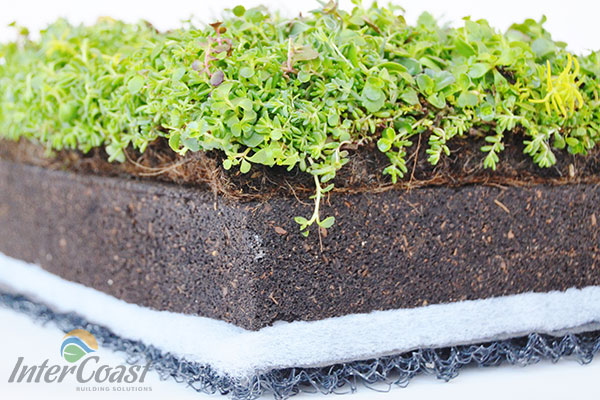 Columbia Green Technologies Green Roof Layered Assembly