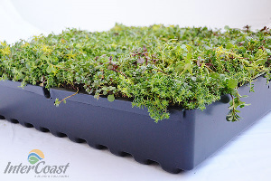 Columbia Green Technologies Tray System for Maximum Stormwater Retention