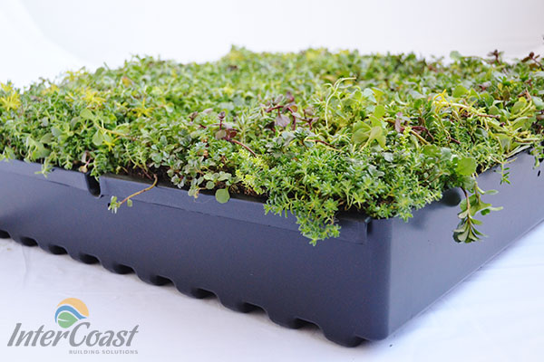 Columbia Green Technologies Green Roof Tray System