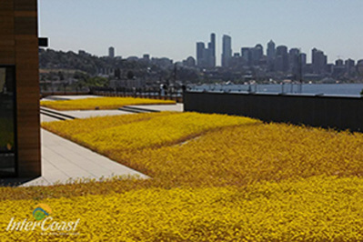 Division 7, 8 & 32 Building Envelope Construction Materials | Learning Events from InterCoast Building Solutions BC & AB